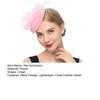 Hair Accessories Mesh Floral Feather Design Headdress Lightweight Breathable Tulle Wedding Reception Bridal Veil