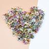 50PCS 2CM Multicolor Daisy Head Mini Silk Artificial Flowers Wall for Crown Scrap Wedding Home Decor DIY Garland Headdress