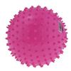 2 Pieces 9 Inch Kids Knobby Bouncy Ball Yoga Massage Spiky Sensory 03