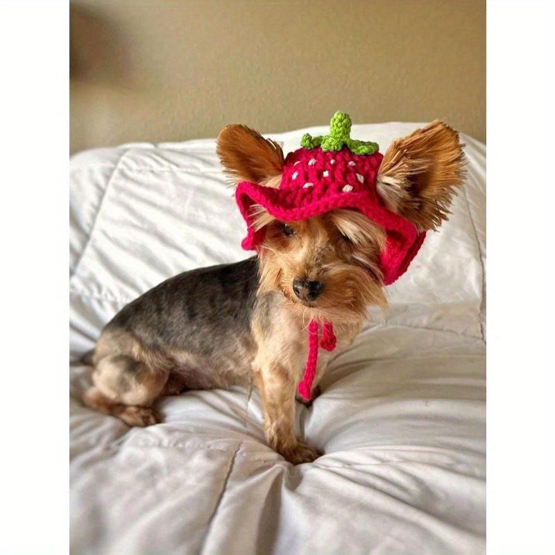 

1 шт. Шапка для питомца, Вязаная шапка ручной вязки, Красная клубника, Фиолетовый баклажан, Аксессуары для питомца, Подарок на день рождения питомца M разноцветный