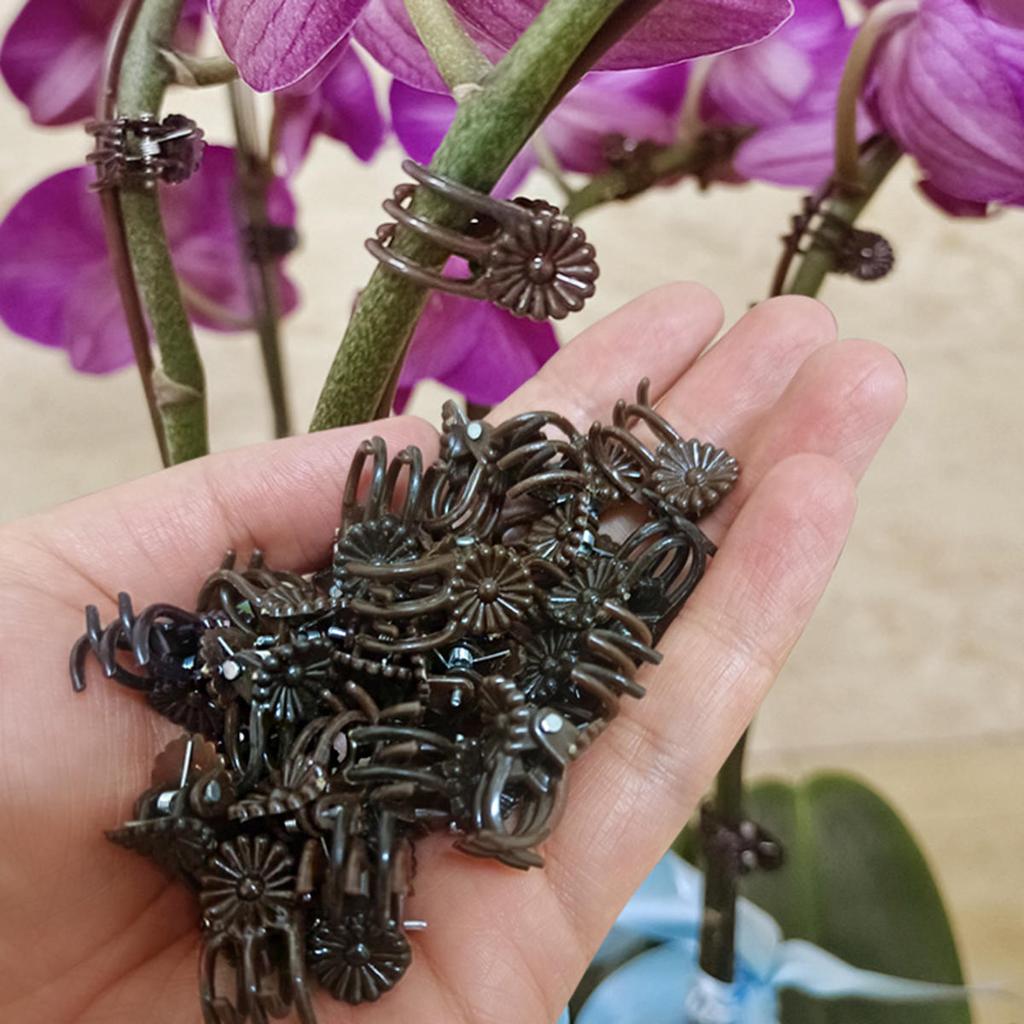 Orchid Stem Clip Plant Support Vine Plastic Clips Flower Grow Branch Clamps Garden Plant Support Fixture Bracket