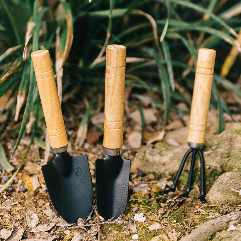 Three-Piece Mini Gardening Tool Set: Succulent Shovel, Rake, Trowel for Planting & Landscaping