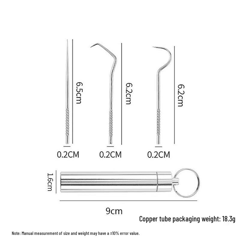 Stainless Steel Toothpick Set: Portable Teeth Cleaning Tool and Tooth Gap Cleaner