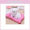 Adorable And Soft Plush Stuffed Toy Cute Sleeping Cat With Realistic Sound For Kids