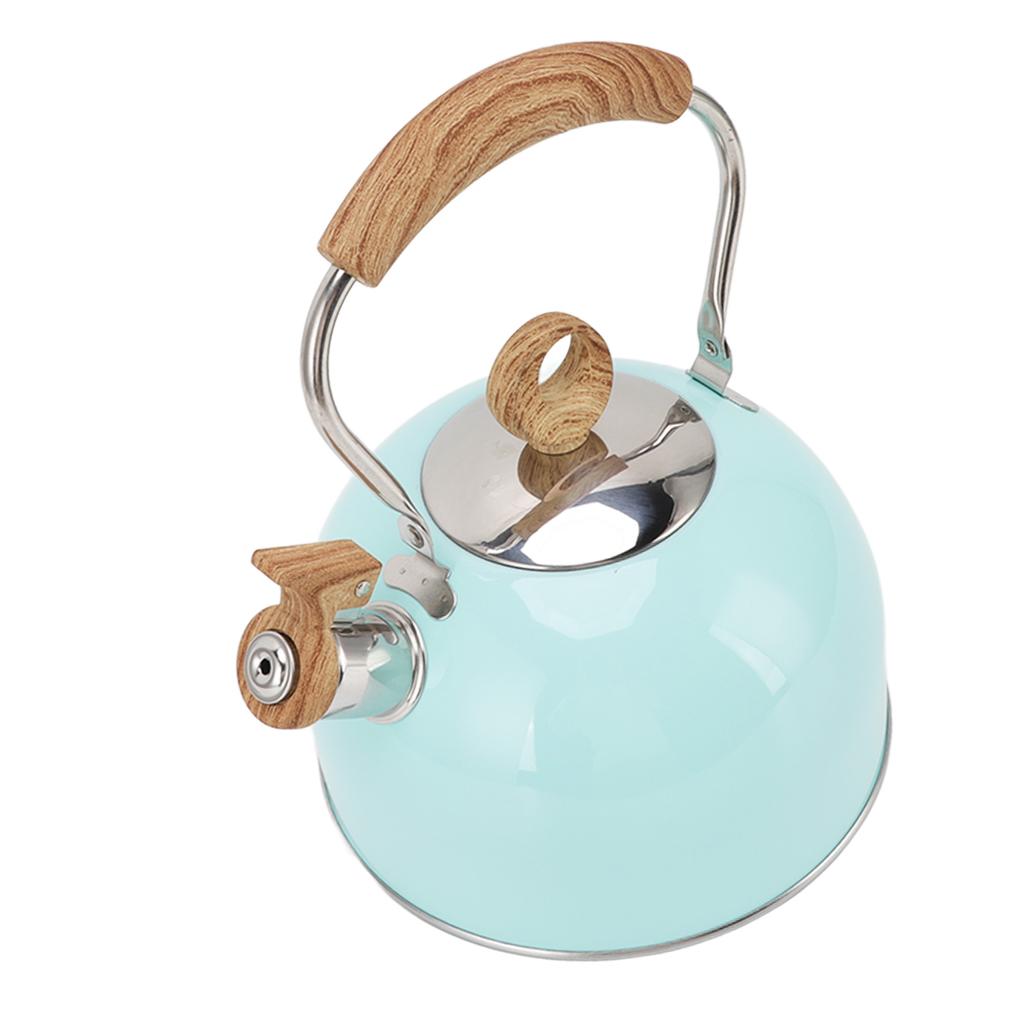 2,5L Pfeifkessel mit Griff Edelstahl Tragbar für den Herd Teekanne für den Hausgebrauch