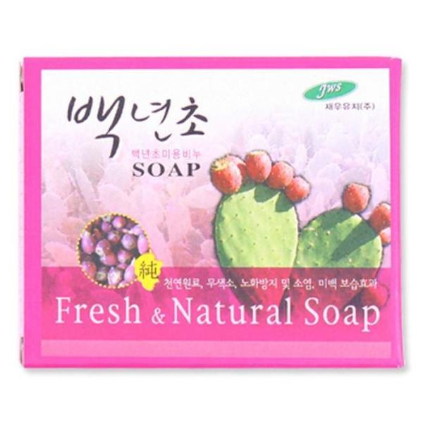 [OF77L696] Baeknyeoncho Beauty Soap Case 10 (12100828)