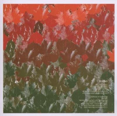 CD FERTILE GROUND - Remixed  Japan Jazz Used