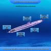 Deep Sea Cabin Megalodon Double Bead Push-Type Ballpoint Pen 0.5mm - Black Ink Student Exam Answering Pen