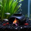 Pești și animale marine – Decorul acvariului