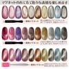 Nail Recipe Galaxy Farbgel Set mit Magnetgel (10-Farben-Set mit zylindrischen Magneten)