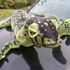75-200cm Simulation Long Tail Lizard Plush Doll Pillow Green Brown Monitor Lizard Reptile Plush Toy Home Decor Gift For Child