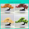 Simulated Scotch Changpai Pine Thuja Sutchuenensis Artificial Green Plant Bonsai