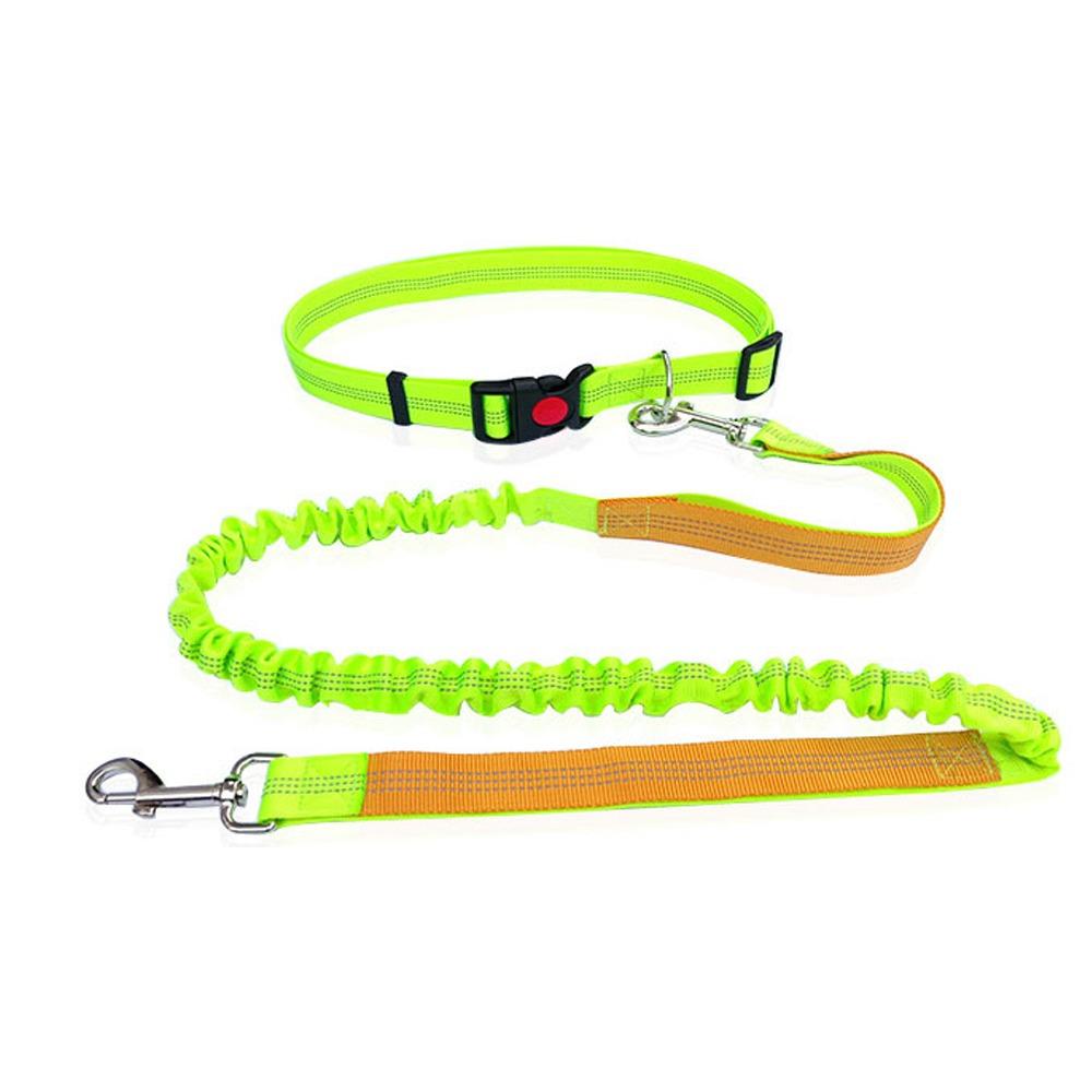 Double Stretch Running Dog Leash Reflective Dog Traction Rope Pet Walking Leash  for Dogs Cats