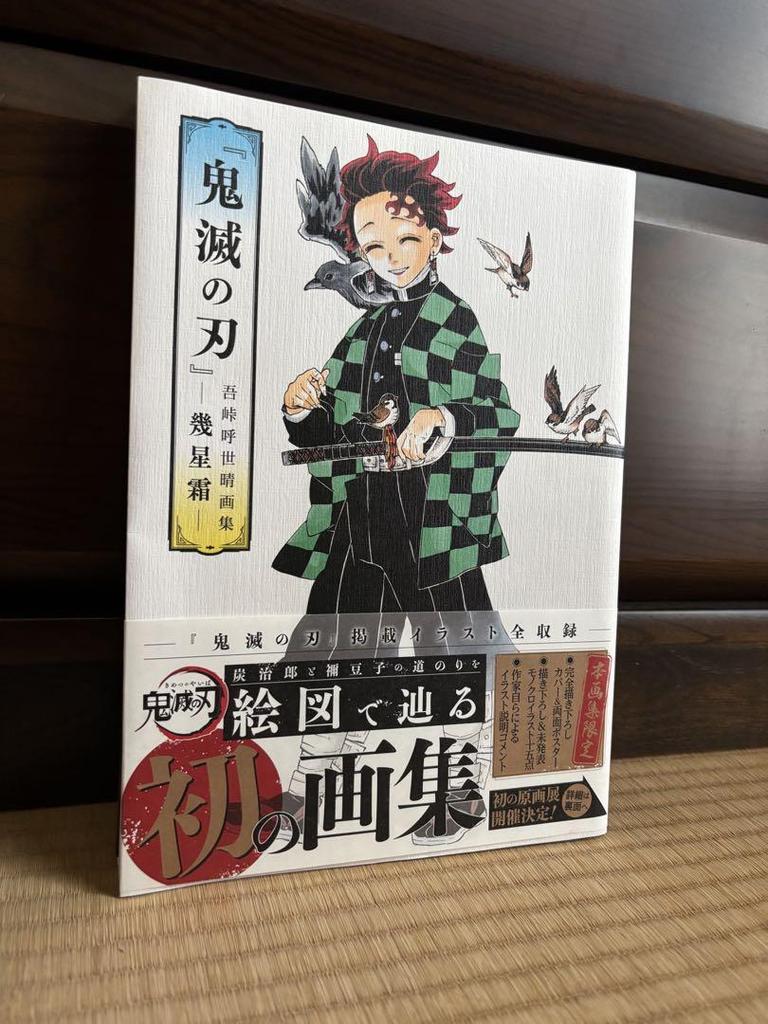 [USED] Demon Slayer 2-book set