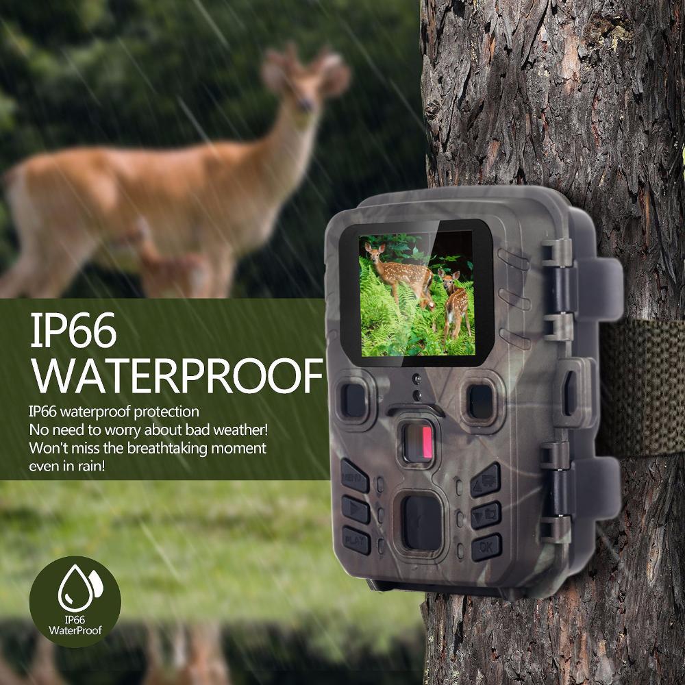 1080p Tracking Camere Drahtlose 12mp Jagd Spiel Kamera Nachtsicht Outdoor Mini Wildlife Scouting Kamera Wasserdicht