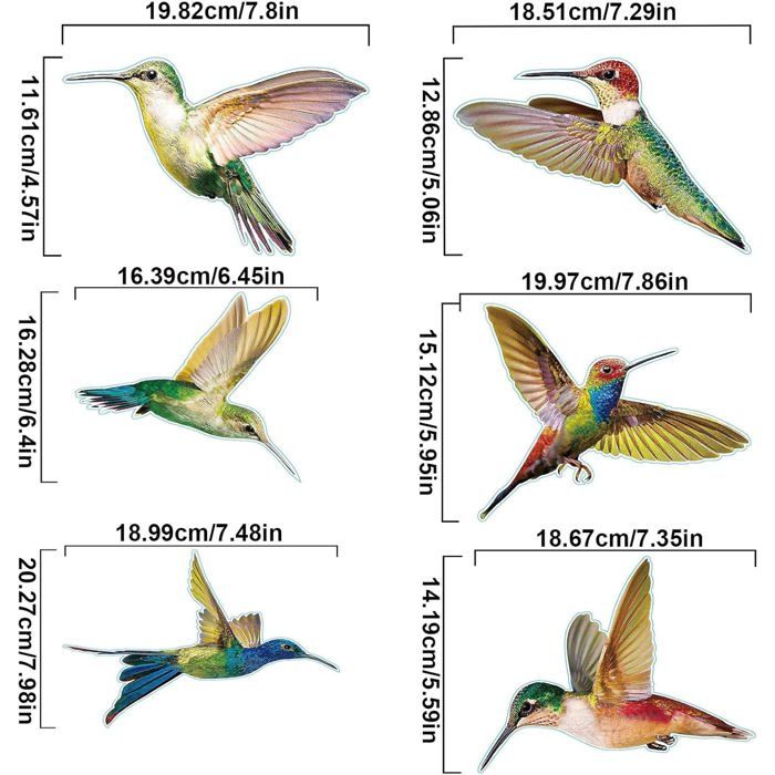 Autocollants fenêtre anti-collision 6 pcs Colibris multicolores – PVC translucide double-face, protection oiseaux