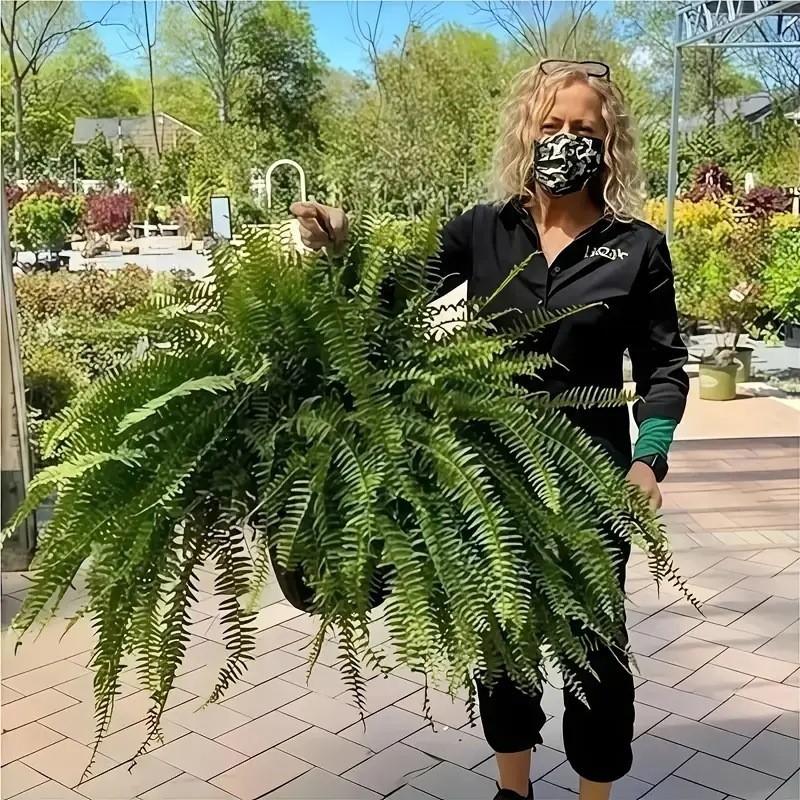 Artificial Boston Fern Foliage With Durable Silk Material For Event Decoration And Photography Props
