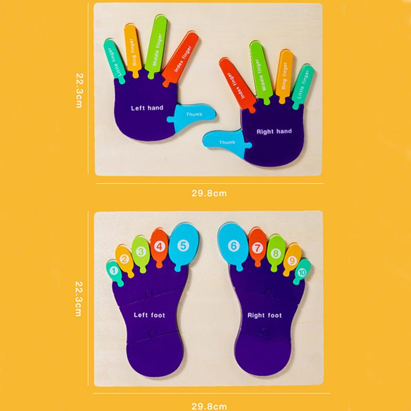 Palm Feet Busy Board Early Learning Educational Toys Puzzles Toddlers Gifts Wood Cognitive Montessori Toys for Children Kids