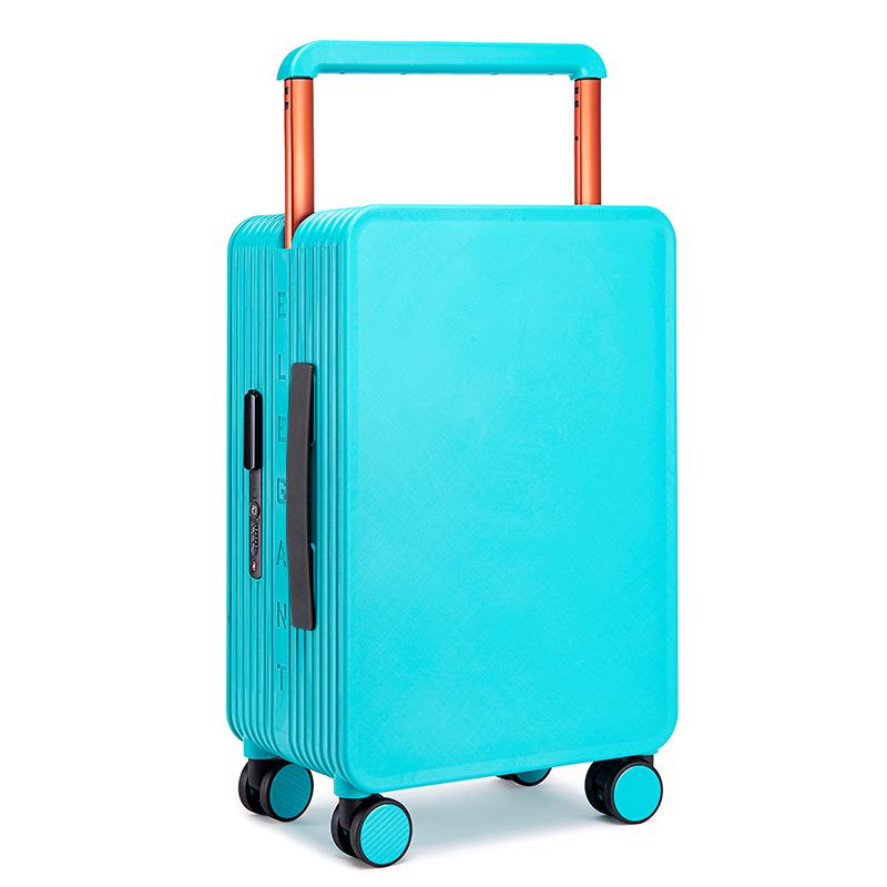 20-Inch Carry-On and 24-Inch Spinner Luggage with Lock for Men and Women