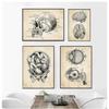 Wandbilder für Krankenhaus, Arzt, Büro, Dekor, Wandkunst, Leinwand, Malerei, Anatomie, Skelett, nordische Poster und Drucke, Vintage