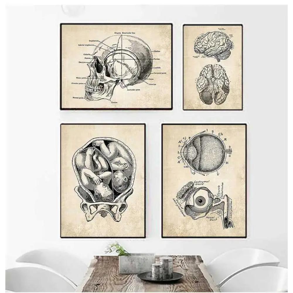 Wandbilder für Krankenhaus, Arzt, Büro, Dekor, Wandkunst, Leinwand, Malerei, Anatomie, Skelett, nordische Poster und Drucke, Vintage