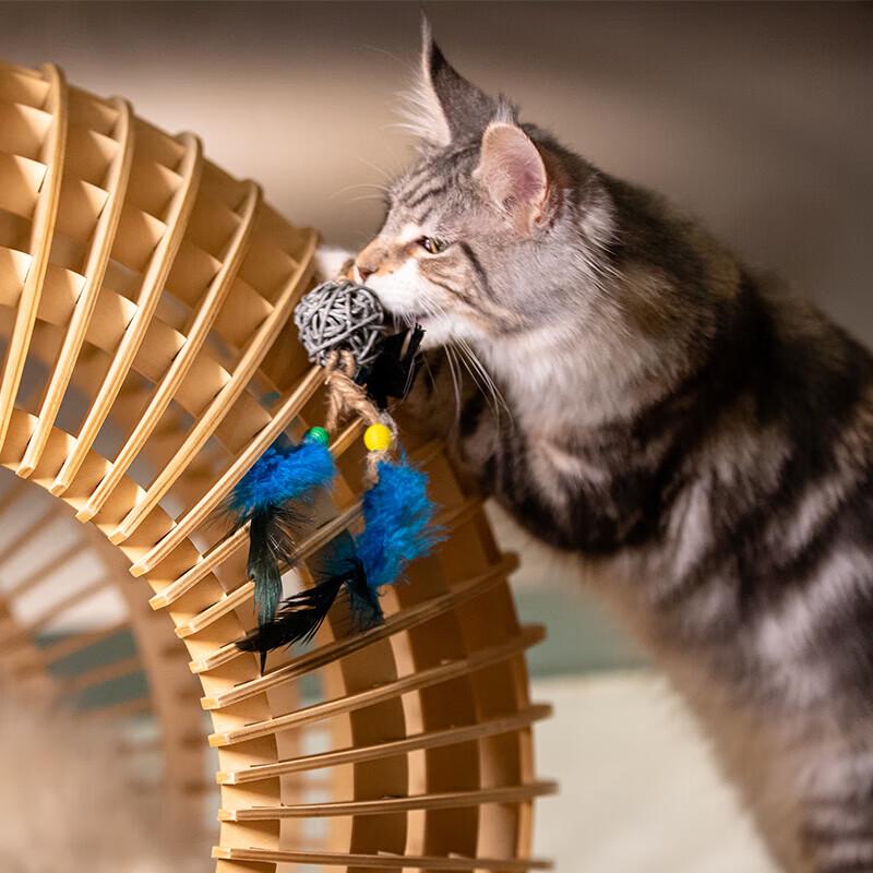 Interactive Cat Feather Bell Ball Toy