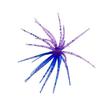 Lake Use Fishing Accessory with Elastic Soft Plastic Body and Flexible Arm Profile, Single Pack Sea Urchin Baits for Daily Anglers