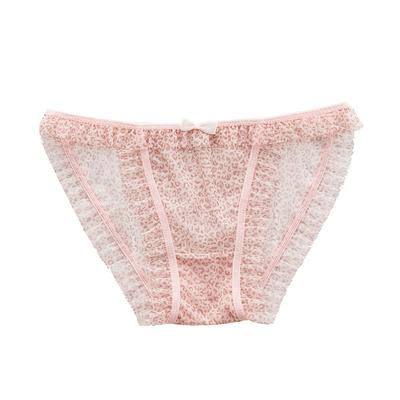 Pure Desire Lace Transparent Sexy Low Waist Girls' Panties Leopard Print Mesh Breathable Seamless Triangle Women's Panties