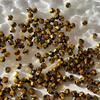 4mm Rhombus Loose Beads for DIY Jewelry: Bracelets, Necklaces, Earrings