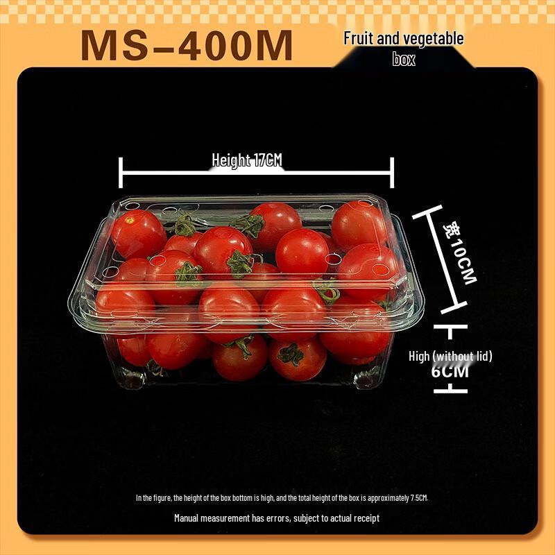 Lantuan Disposable Transparent Food Container