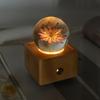 Hot Item Novelty Gifts 2025 Trends New Innovative Product Ideas Real Flower Light Bluetooth Speaker Holiday Festival Gift