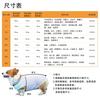 Large Dog Cooling Vest Lightweight Breathable Golden Retriever Labrador Outdoor Quick-Dry Pet Apparel