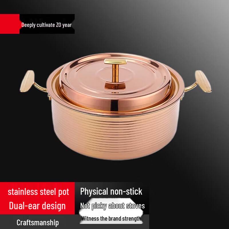 Yingbai 20cm Stainless Steel Golden Textured Multi-purpose Pot