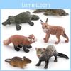 Exquisite Plastiktierfiguren, einschließlich Kurzschwanzluchs, Roter Panda und einzigartiges Schnabeltier, ideal für Heimdekoration und Bildungszwecke