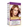 Paris Excellence R Cream Hair Warm Light Chestnut Brown L'Oreal Color, 7WB, (Quasi-drug)
