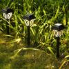 Solar Pathway Lights LED 2pack Outdoor Landscape Path Lamp Waterproof Solar Garden Lights for Yard Garden Walkway Patio Driveway