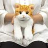 Sanlemon Hizaneko Chashiro Plush Toy 13x36x15cm Cute Cat Animal Stuffed Animal