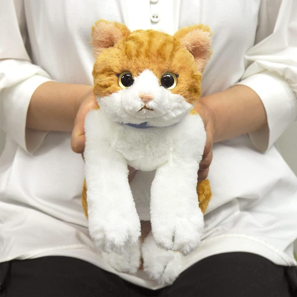 Sanlemon Hizaneko Chashiro Plush Toy 13x36x15cm Cute Cat Animal Stuffed Animal