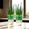Vasos e caixas para jardim – Recipientes para mudas