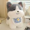 Peluche Cane Husky Cucciolo Carino - Adorabile Regalo Transfrontaliero per Ragazze