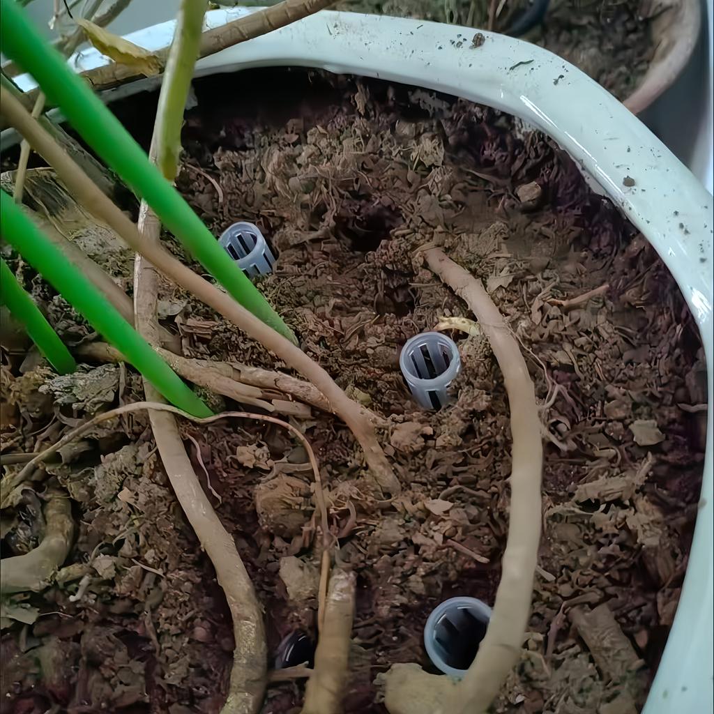 10pcs Set of Transparent Plastic Soil Air Circulation Tubes for Plants - Lightweight And Durable Plant Root Ventilation Tubes