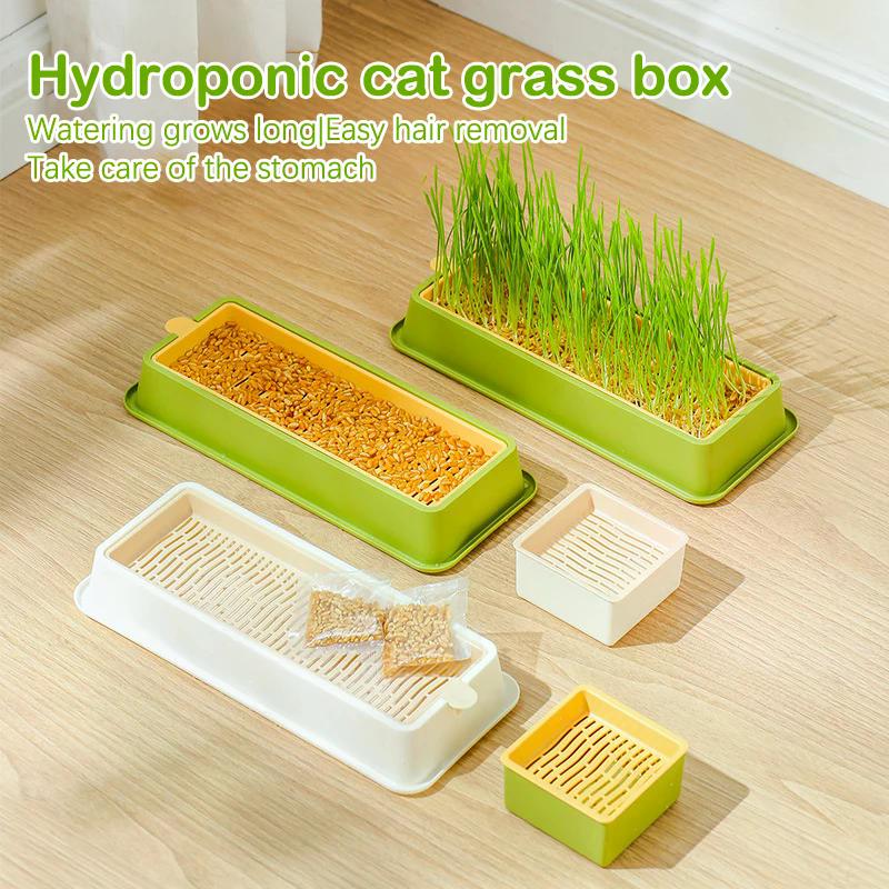 1Pcs Pet Cat Grass Sprout Dish Growing Pot Hydroponic Plant Cat Snacks Germination Digestion Starter Dish Greenhouse Grow Box