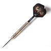 Cuesoul Dragon Deluxe Brass Steel Tip Darts 21g Set, F2302-L