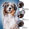 Nouvelles Sorties Collier Chat Chien 39/63CM, Protection Animale 8 Mois, Collier Auto-Ajustable Pour Chiot Chaton Accessoires Grand Chien