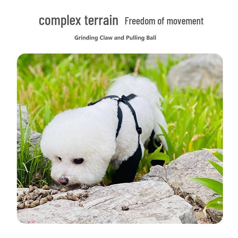 Čtyřsezónní voděodolné protiskluzové psí boty: Odolné boty pro domácí mazlíčky pro venkovní použití