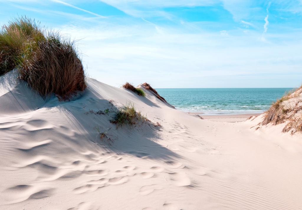 Photomural The Way To The Sea Iq-1209-A Non-Woven 368x280