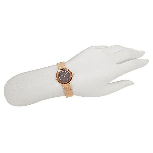SKAGEN LEONARA Women's Watch #456SRR1 (Parallel Import)