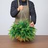 Artificial Ferns, 2 Pcs Fake Hanging Boston Fern Bush Plant with 584 Mm Hanging Length, Plastic Faux Greenery for Indoor and Outdoor Decor, For Wall,