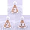 Childrens Birthday Party Decor Baby Milestone Hat With Number 2 For 2nd Year Celebration