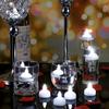 12Pcs LED Flameless Waterproof Candle Lights  Tea Candles Battery Powered for Home Wedding Birthday Party Decoration